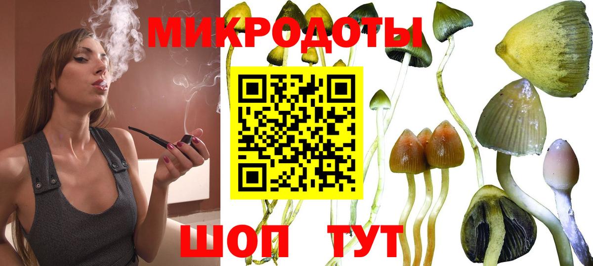 Амурск  Псилоцибиновые грибы мицелий  Вход с VPN 
