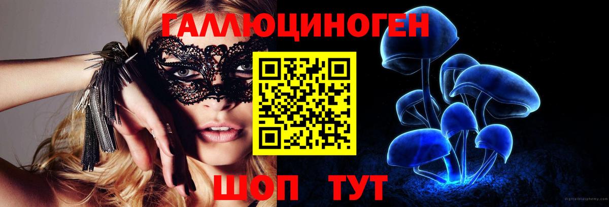Псилоцибиновые грибы Cubensis Амурск